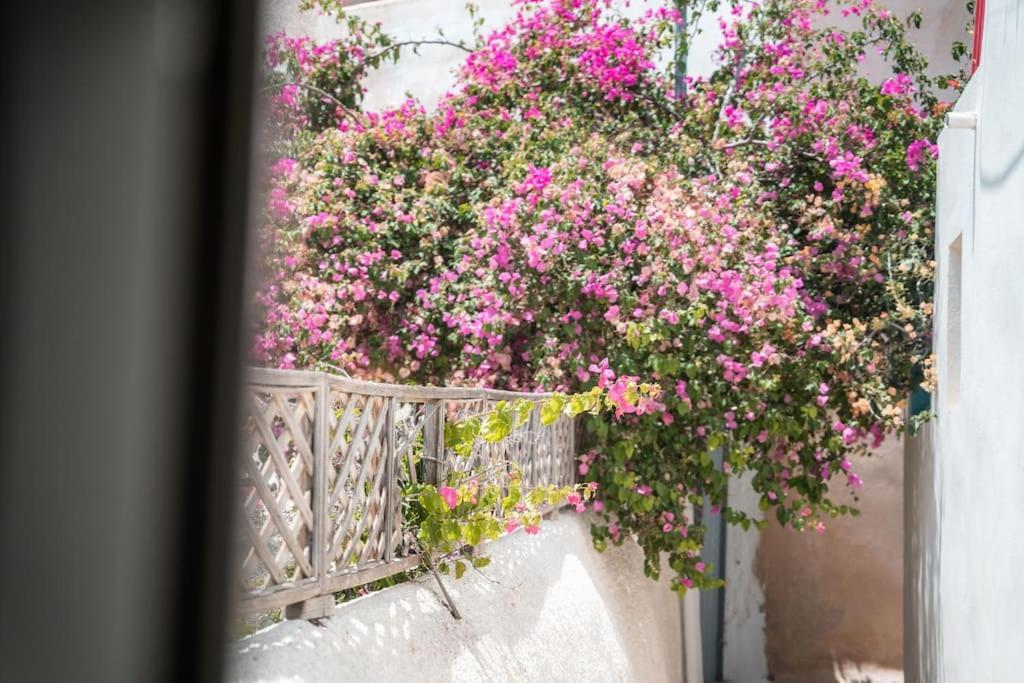 Akri Santorini With Heated Jacuzzi Villa Emborió Kültér fotó